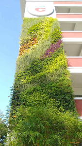 绿植墙~室外