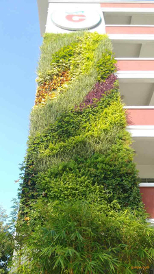 绿植墙~室外