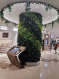 绿植墙~圆柱