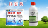 药品类