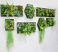 仿真植物画框