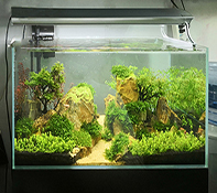 水族产品